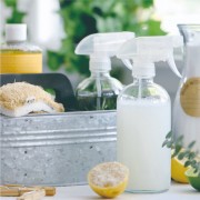 Household cleaners and Germ Buster spray workshop