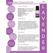 Lavender Essential Oil (KidSafe) 